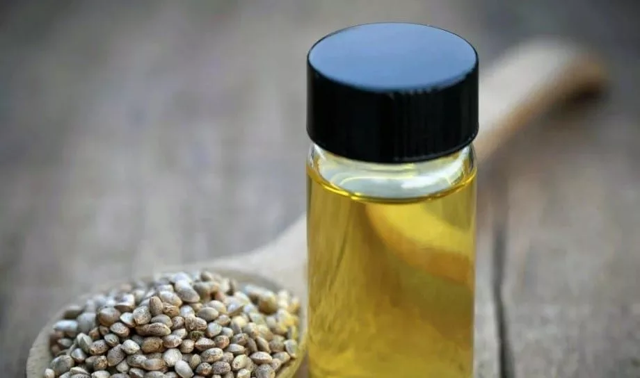 CBD Oil and Hemp Oil: Are They the Same?